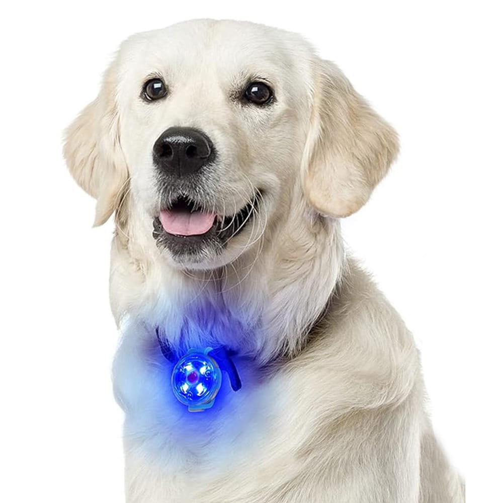 Świecąca Lampka LED na Obrożę lub Szelki dla Psa i Kota – Zawieszka USB